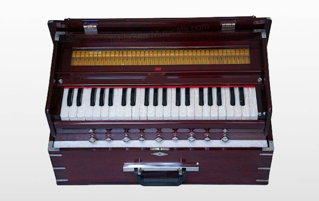 Harmonium-Instrument-training